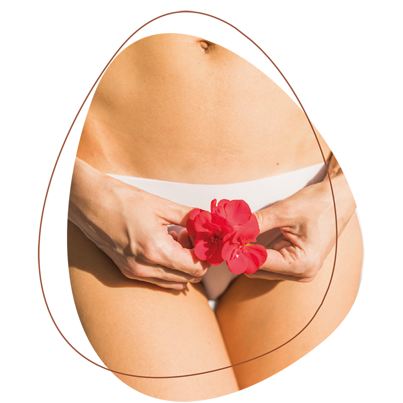 Ginecologia Ginecologia